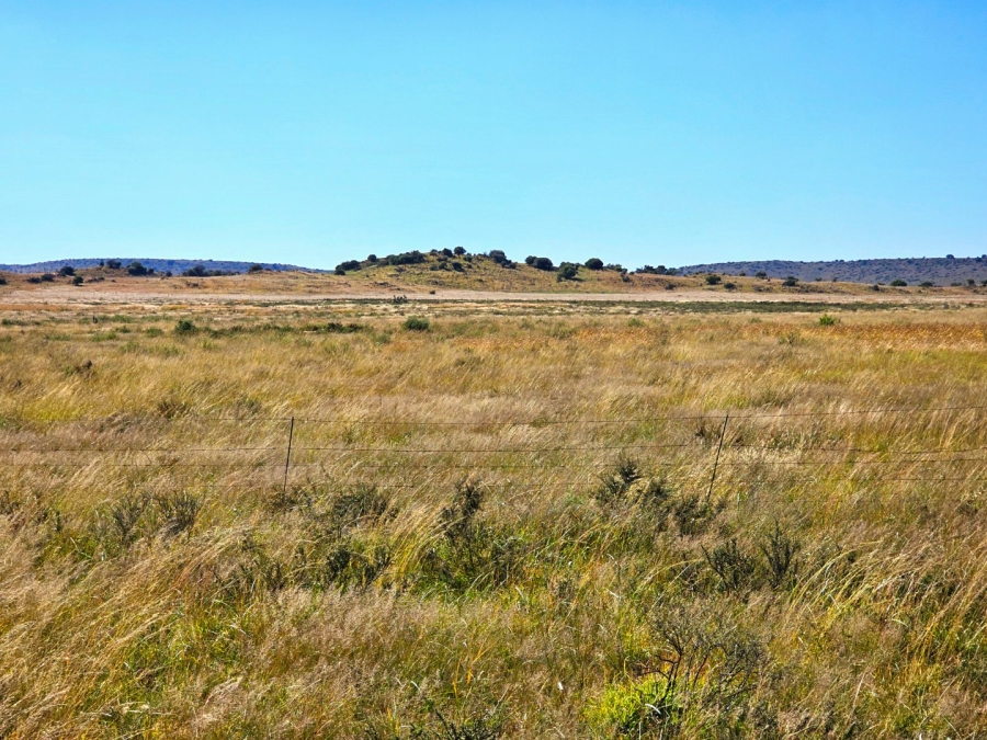 4 Bedroom Property for Sale in Bloemfontein Rural Free State